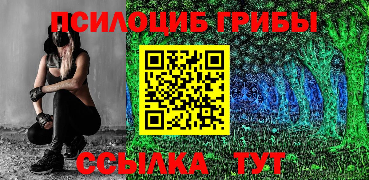 Ессентуки  Псилоцибиновые грибы Psilocybine cubensis  Вход с VPN 