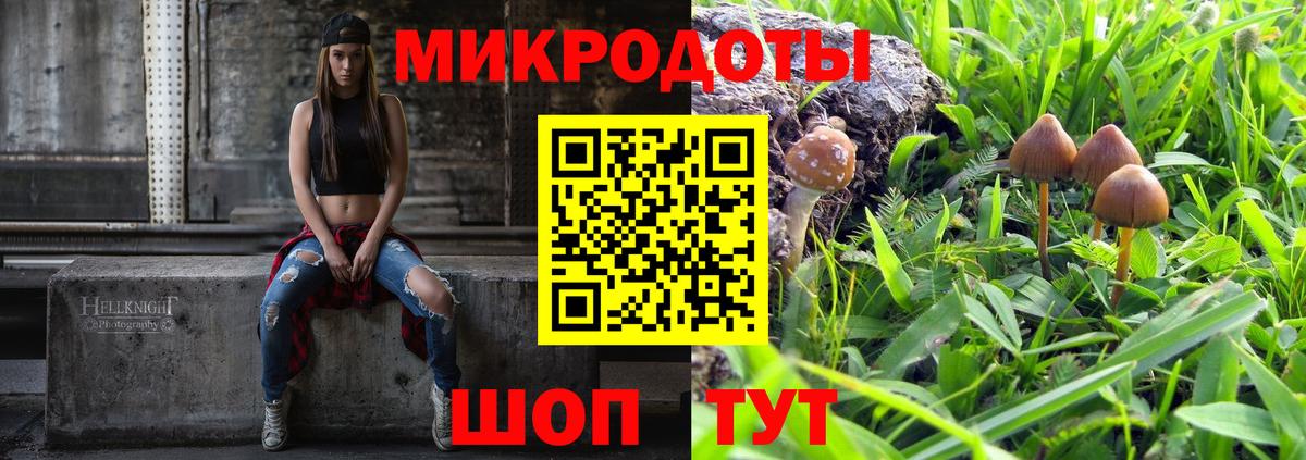 Псилоцибиновые грибы ЛСД Ессентуки